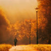 golden autumn