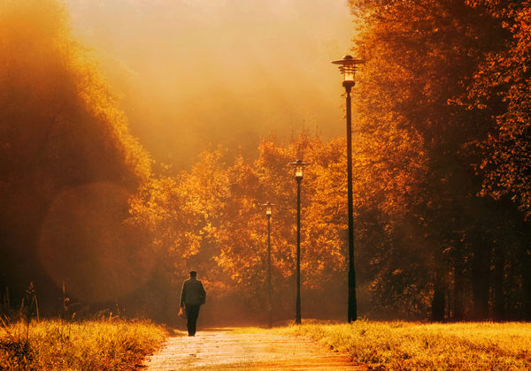 golden autumn