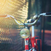 Bokeh